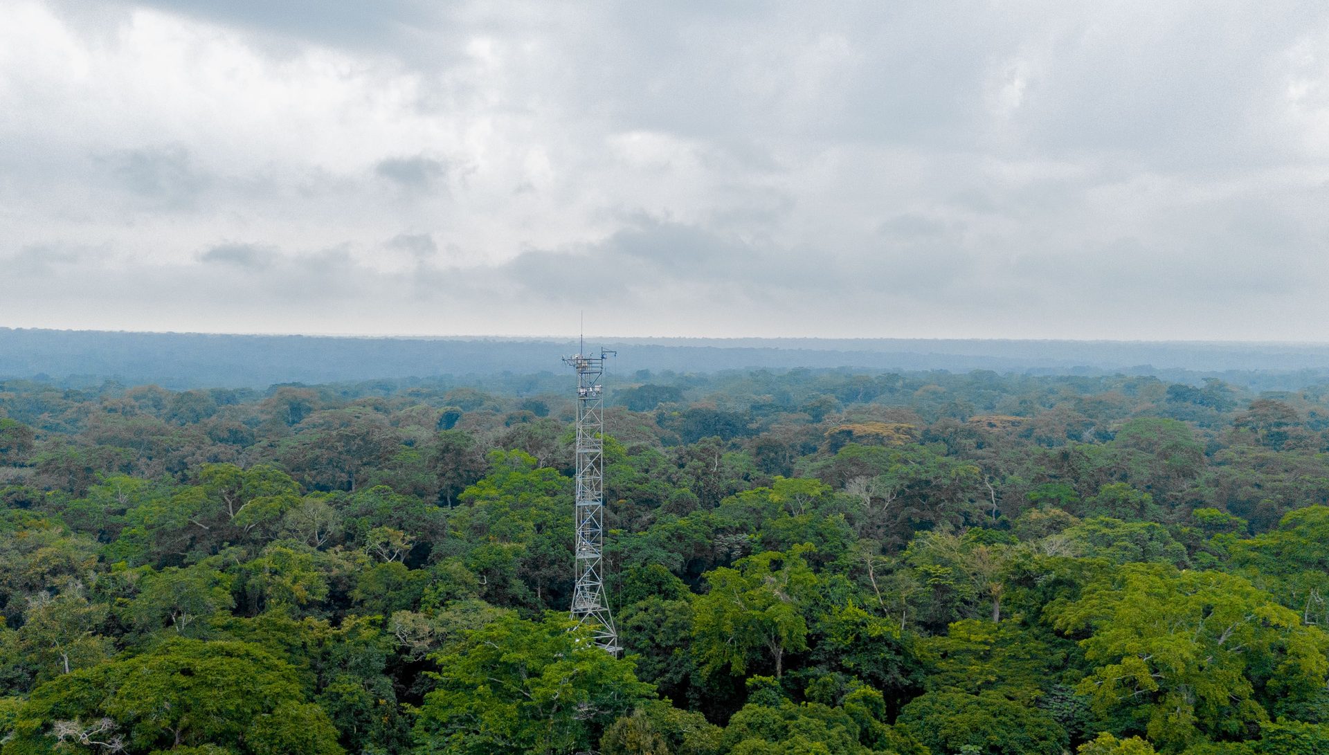 La Forêt Équatoriale