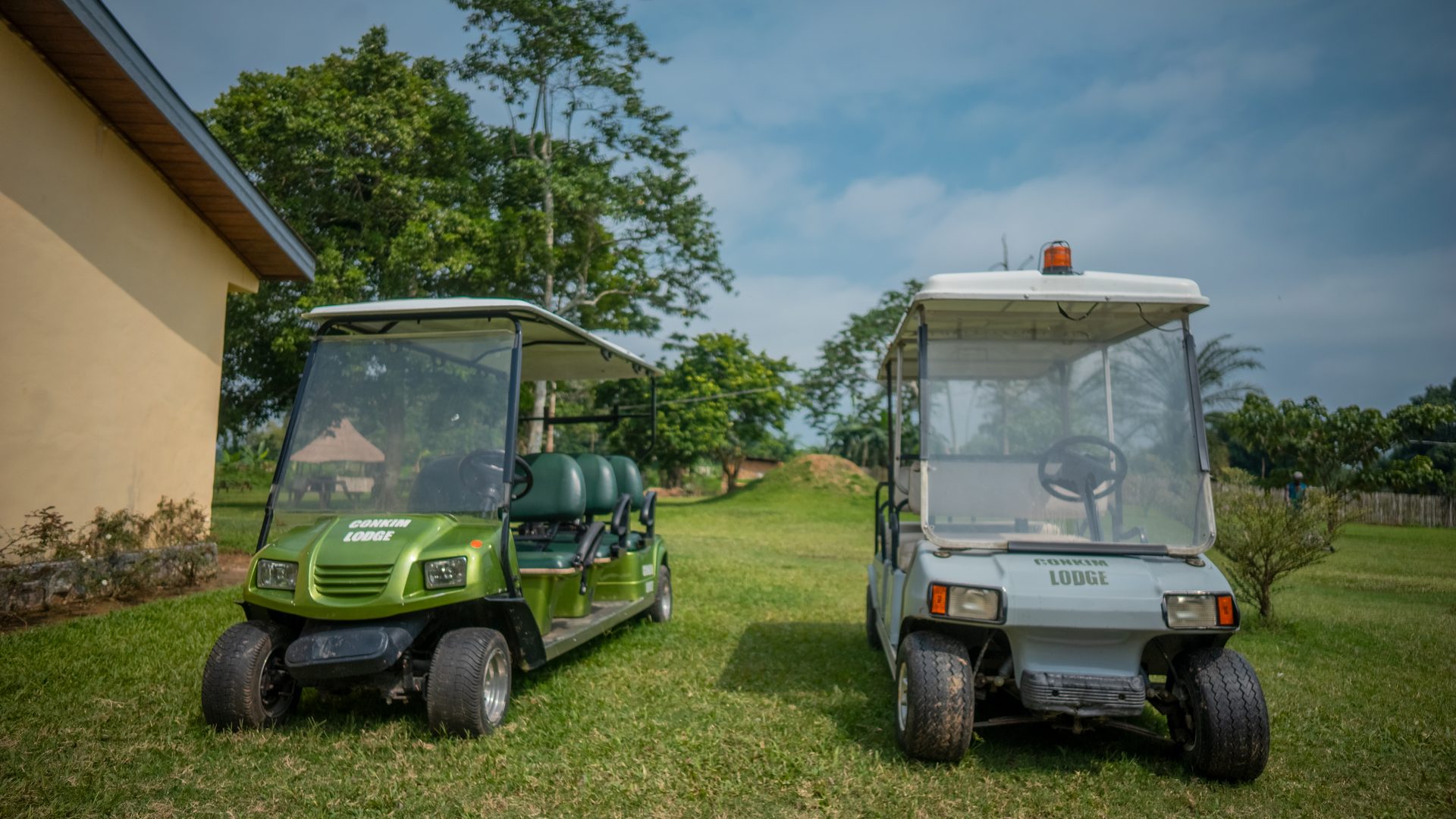 Voiturette de golf